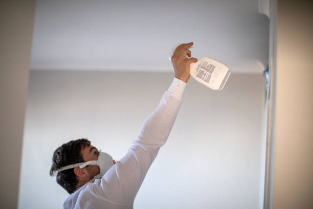 Best Local Mold Removal Service  in Elmwood, IL