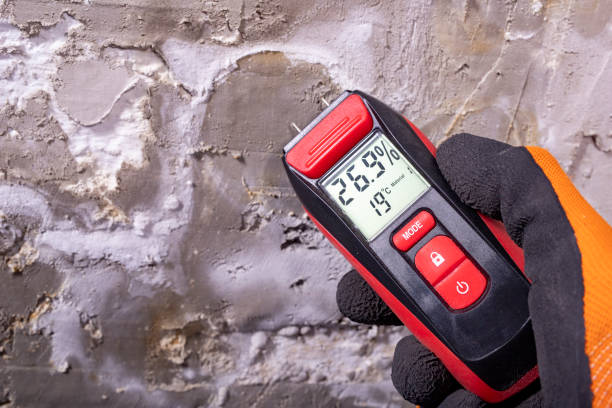Best Commercial Mold Removal  in Elmwood, IL